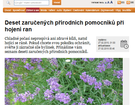 Deset zaručených přírodních pomocníků při hojení ran