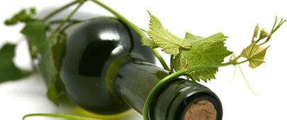 Vinobraní a jiné „alkoholové“ akce – umíte je přežít ve zdraví?